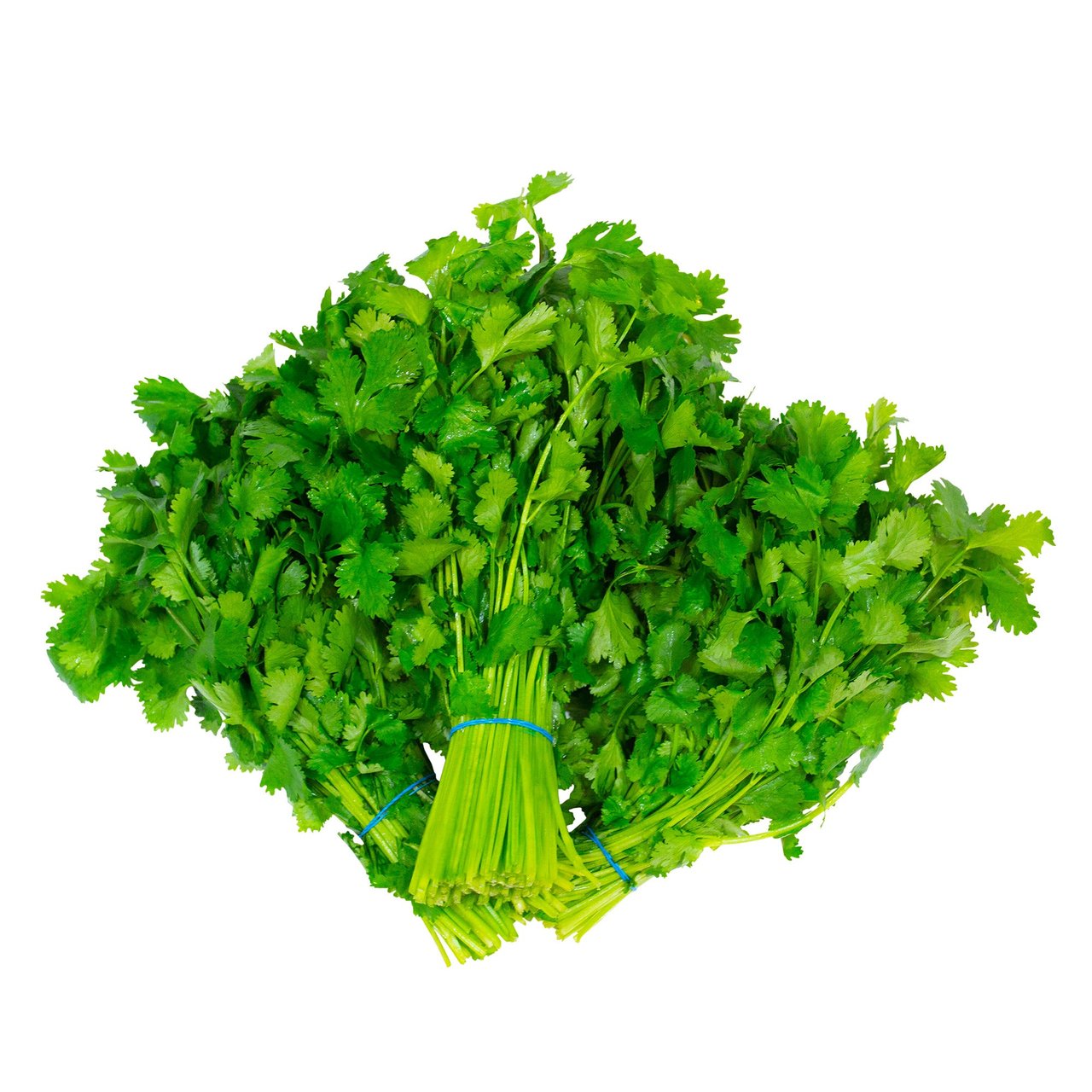 Organic Cilantro, 3 Bunches - Image 1