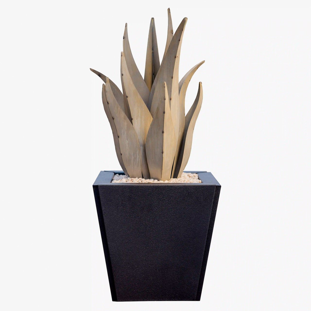 アガベ　Agave セット ミニチュア アガベAセット – LOBINDON