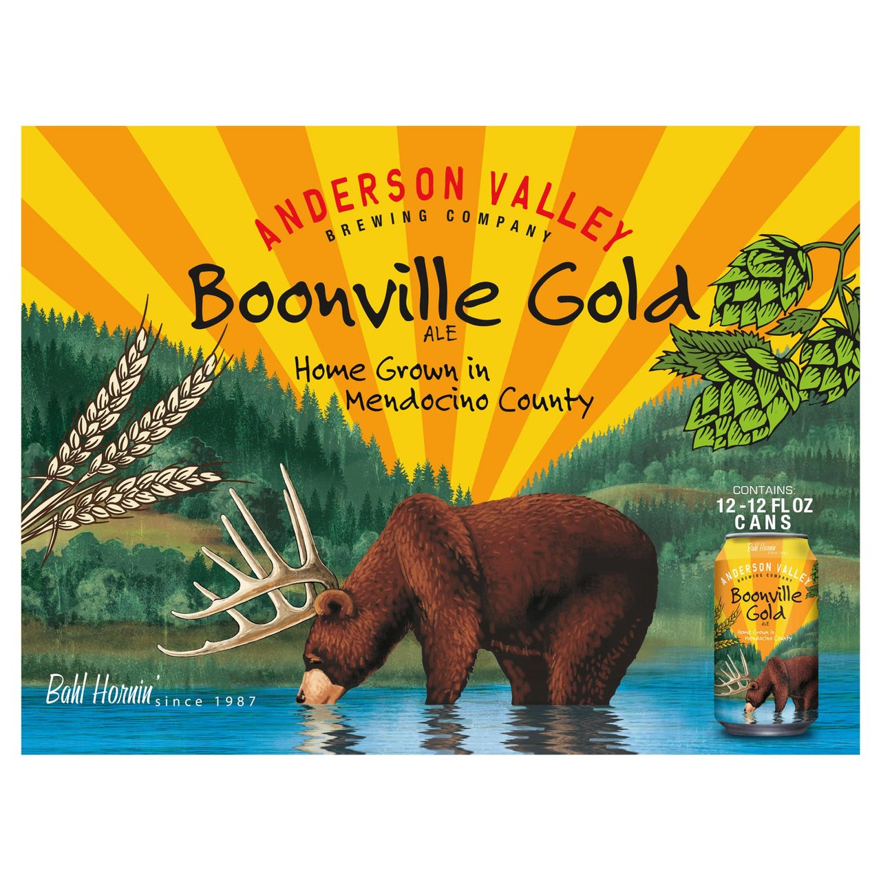 Anderson Valley Boonville Gold Ale, 12 x 12 oz Cans - Image 1