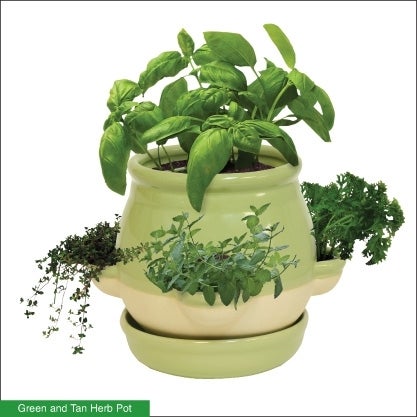 10" Herb Garden with 2.4G Wireless
