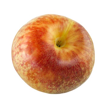 Plumcots 2.0 lb