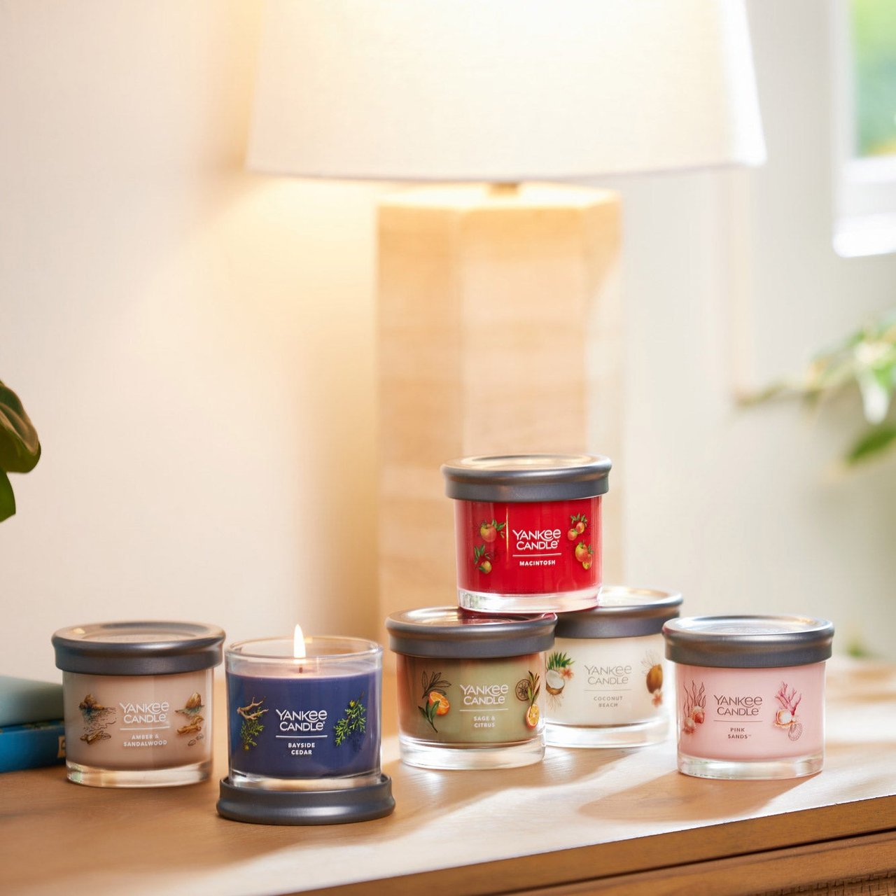 Yankee Candle Signature Small Tumbler Candle Set, 6-Pack, 4.1 oz - Image 1