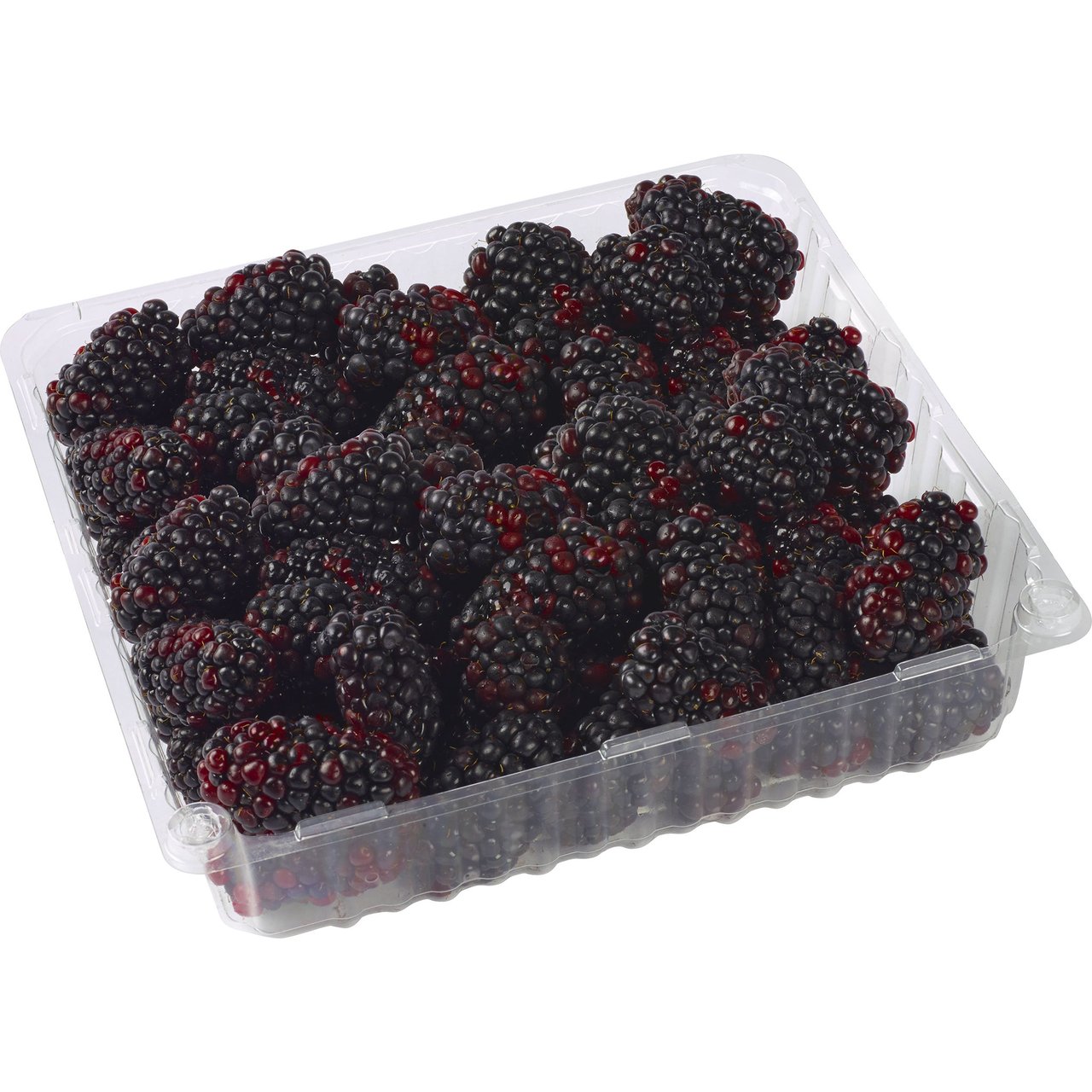 Blackberries, 18 oz - Image 1