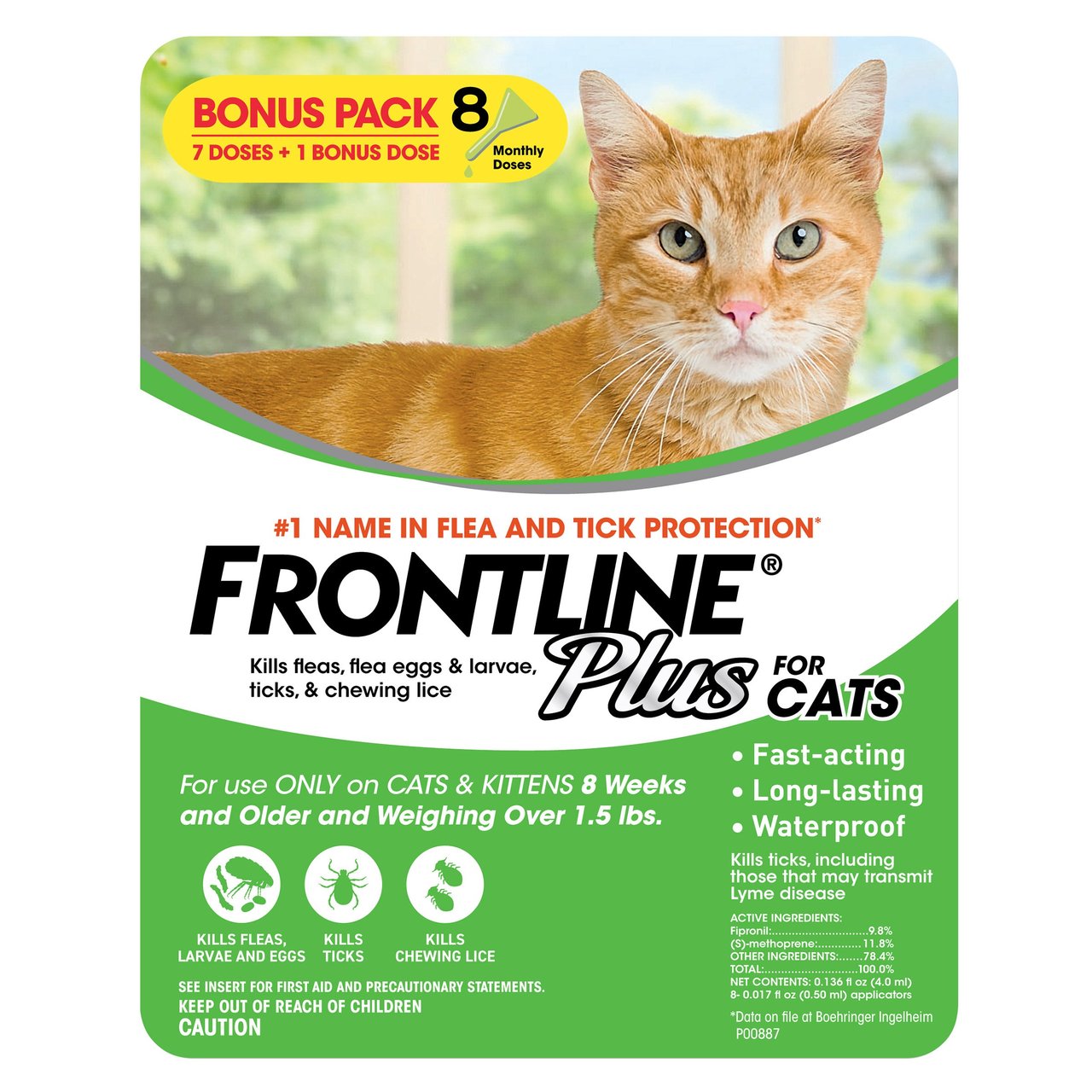 Frontline Plus Cat 8 Month Supply - Image 1