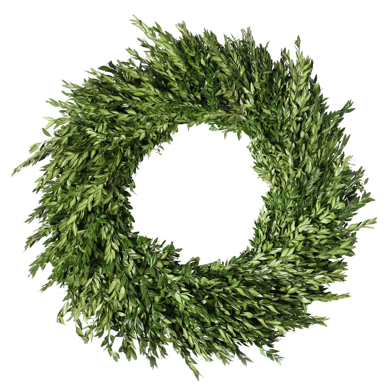 28" Boxwood Wreath - Image 1
