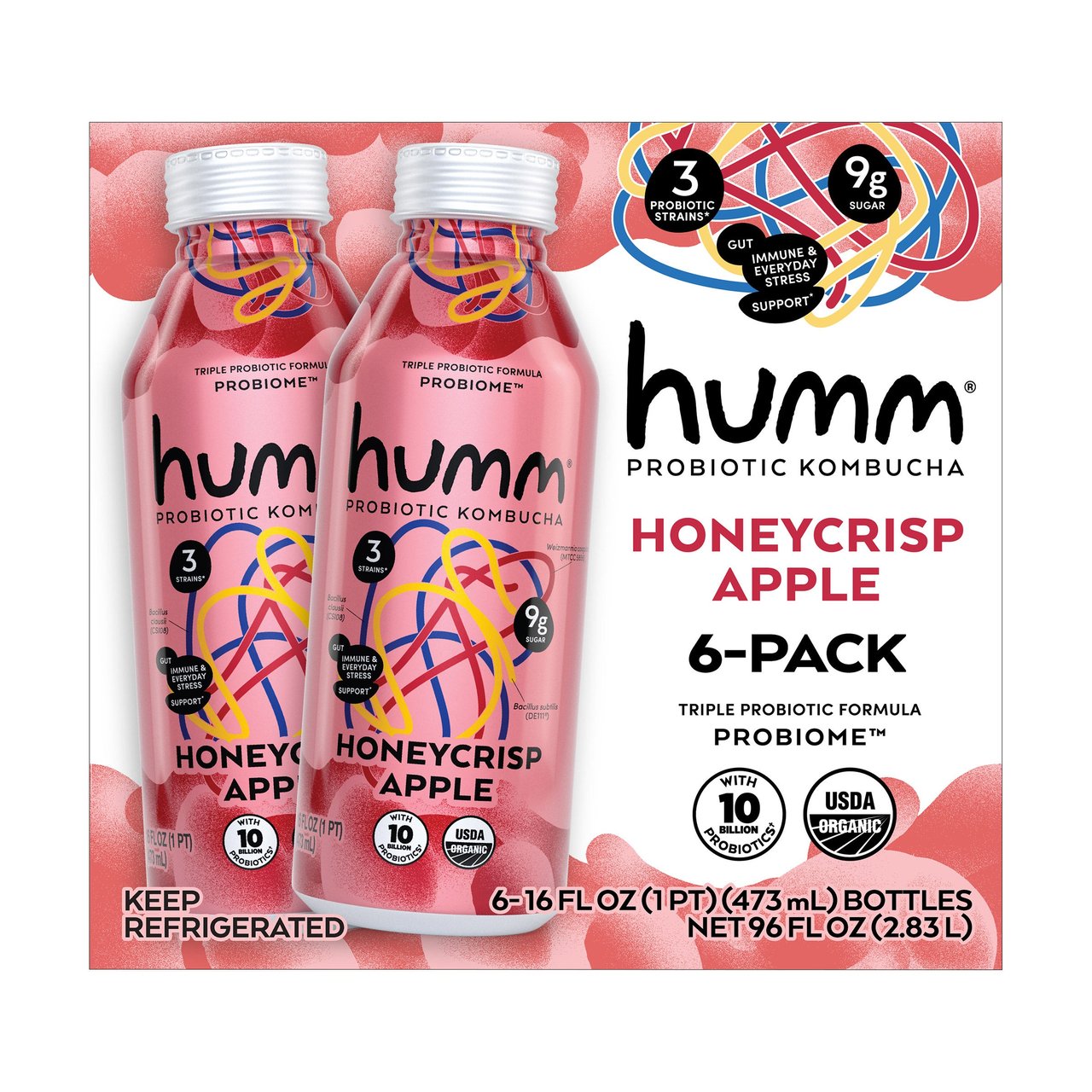 Humm Organic Kombucha Probiome, 6/16 oz - Image 1