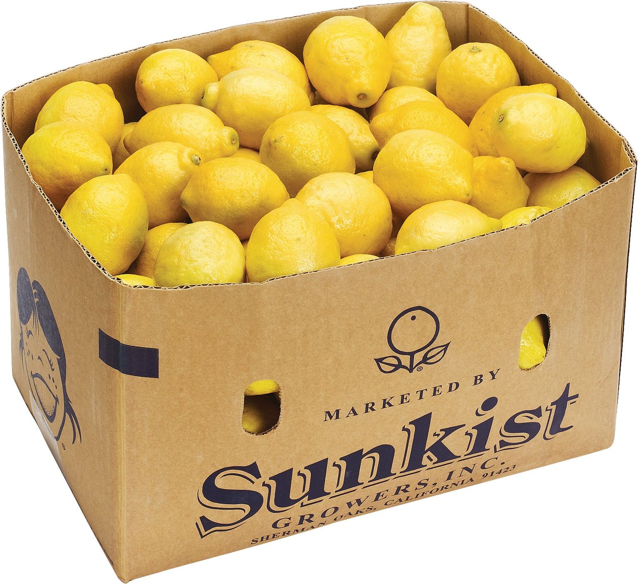 Lemons, Full Case