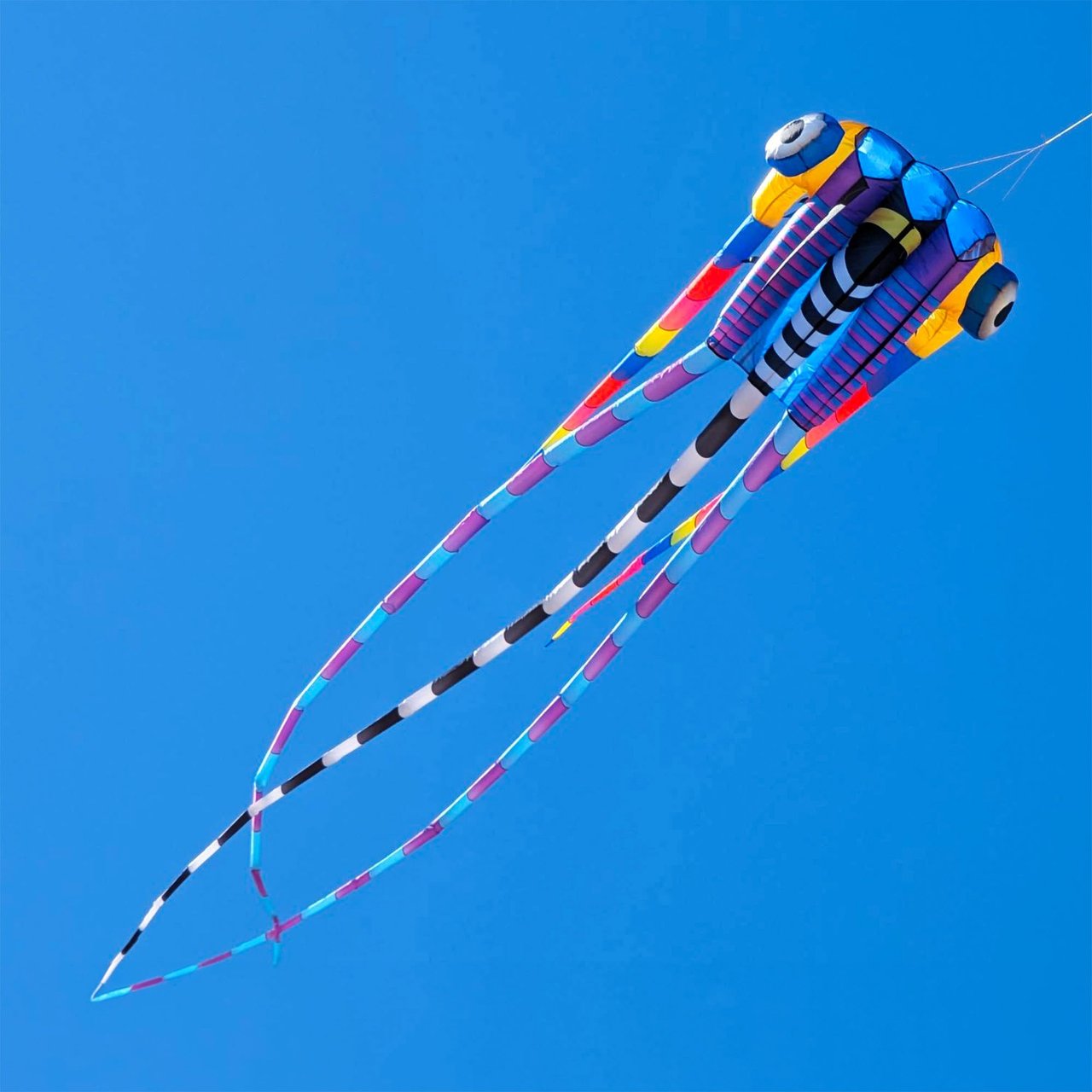 Trilobite Premium Kite - Image 1