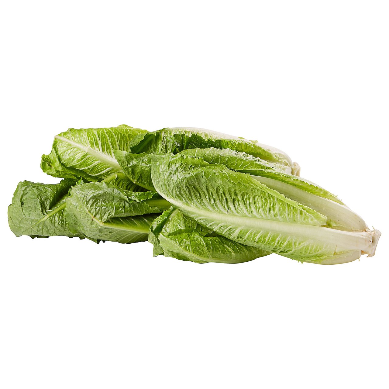 Organic Romaine Hearts 6 Count - Image 1