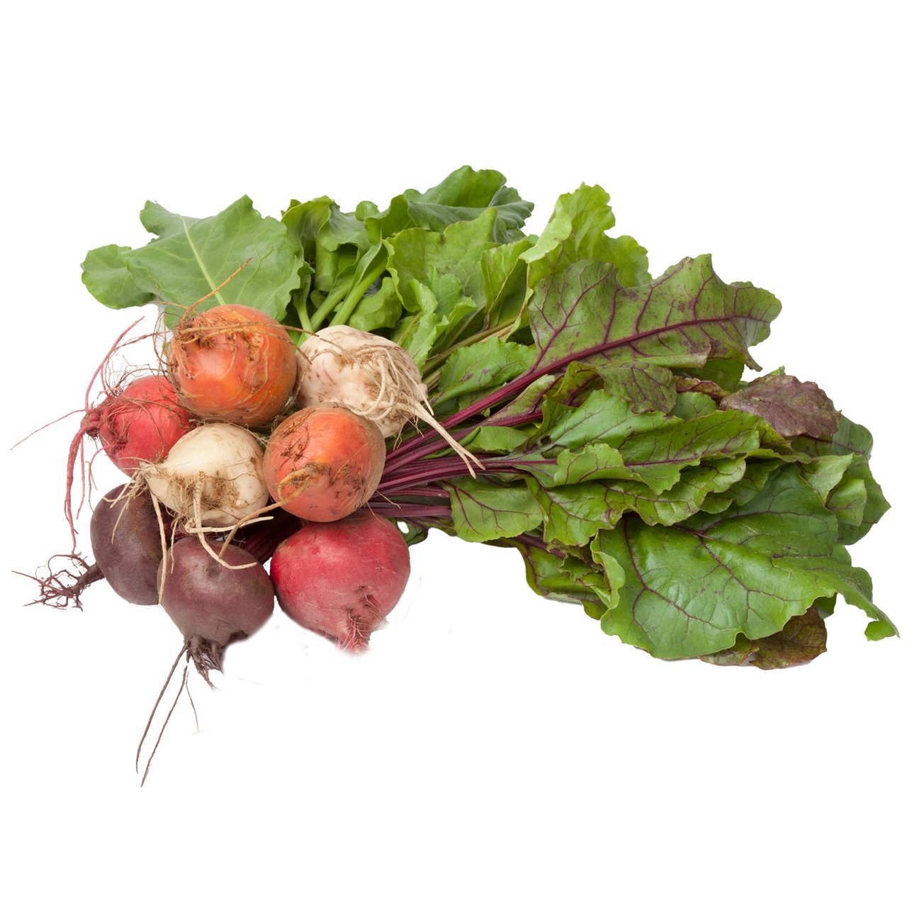 Organic Rainbow Beets, 5 lbs