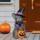 Halloween Dog Greeter