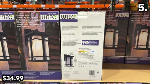 Lutec Craftsman Style Coach Light