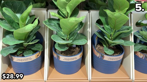 2-Pack 6" Foliage Bookend / Wall Planter