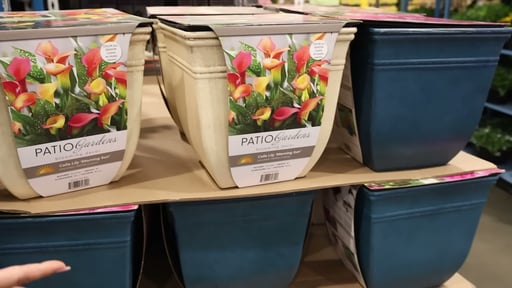 Pre-Planted Flower Bulb Kit (Patio Gardens)