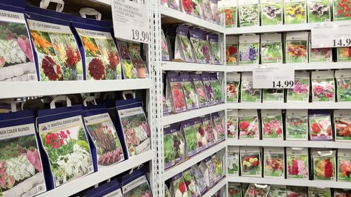 Spring Assortment Bulbs and Perennials Landscape Bag