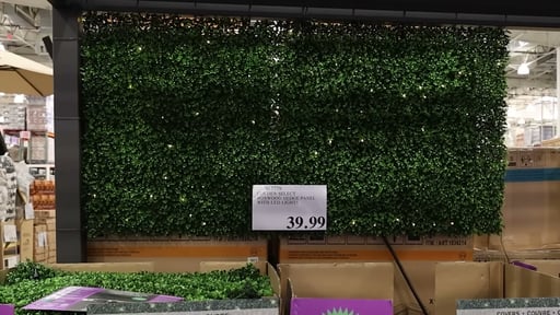 Golden Select Boxwood Hedge Panel with LED Lights