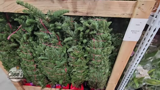 Noble Fir Fresh Cut Christmas Tree with Stand, 3.5'–4.5'