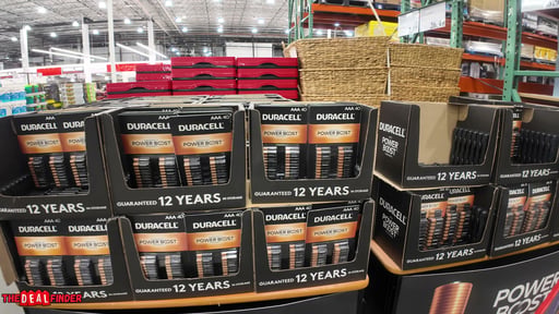 Duracell Power Boost Alkaline AAA Batteries 40-Pack