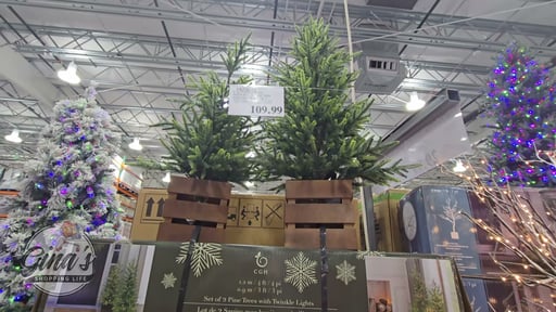 Boxed Pine Trees with Twinkle Lights, Set of 2 (4' & 3')