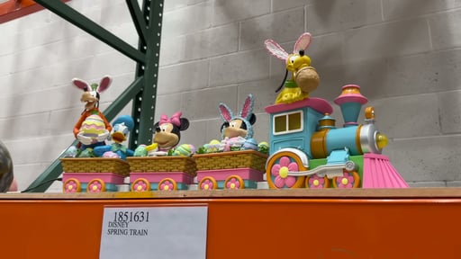 Disney Spring Train