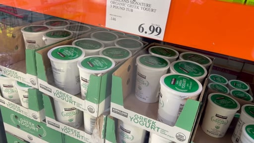 Kirkland Signature Organic Greek Yogurt 48 oz (3 lbs)