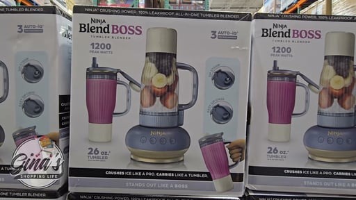 Ninja BlendBoss Single Serve Blender