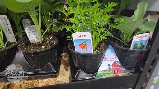 VEGETABLE VARIETY 8 PLANTS 1.9G/7.6L