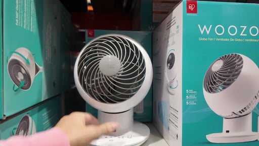 Woozoo 5-Speed Globe Fan