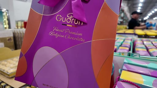 Gudrun Carrying Case Assorted Chocolates, 14.7 oz