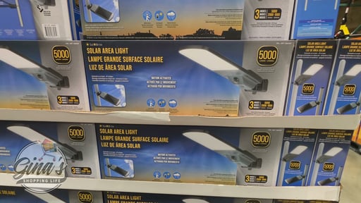 Fresh Source 5000L Solar Area Light