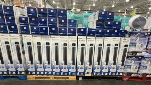 OmniBreeze Tower Fan