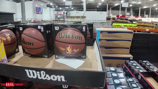 Wilson NBA Golden Signature Basketball