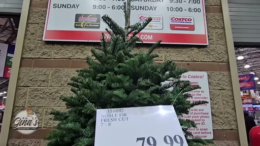 Noble Fir Fresh Cut 7' - 8'