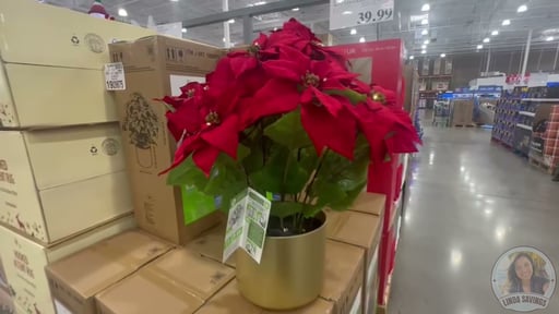 30-Inch Pre-Lit Red Velvet Poinsettia Pot