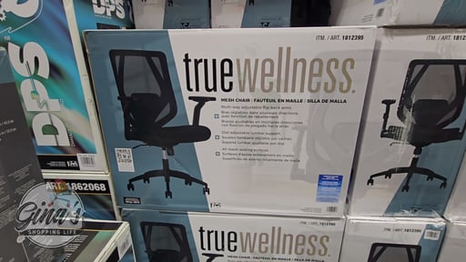 TrueWellness All Mesh Office Chair