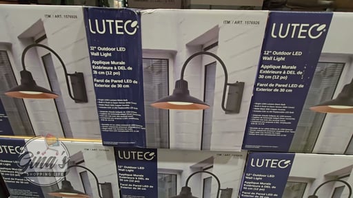LUTEC 12" Wall Light