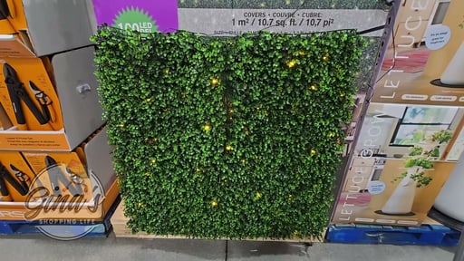Golden Select Boxwood Artificial Hedge Panel with Lights