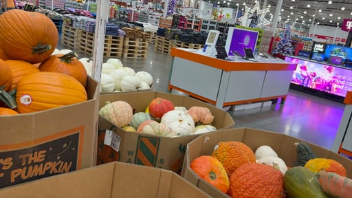 Heirloom Pumpkins, Each