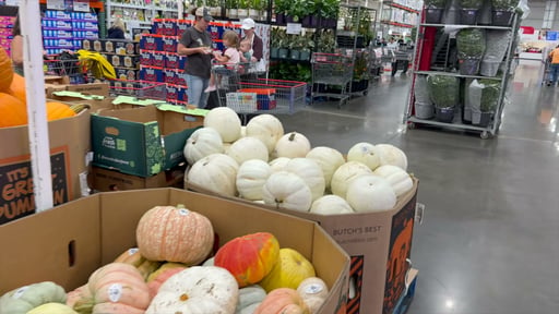 White Pumpkin, Each