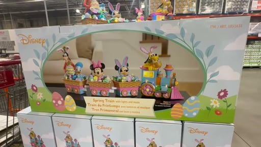 Disney Spring Train