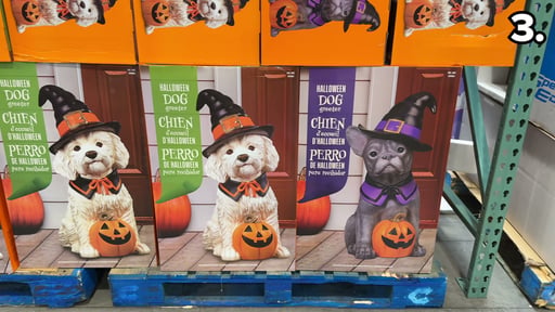 Halloween Dog Greeter