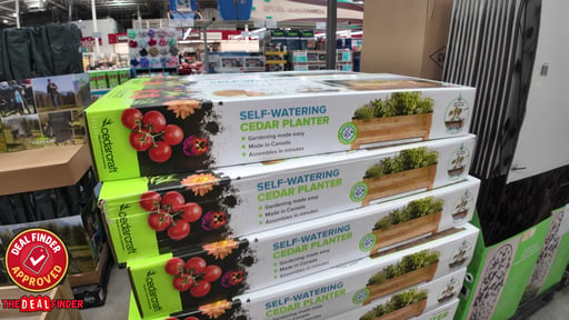 CedarCraft Self-Watering Cedar Planter