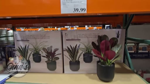 C.G. Hunter Faux Decorative Plant Trio