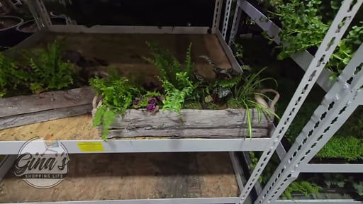 Foliage in Wooden Box 2.8 Qt