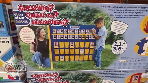 Giant Guess Who? Outdoor Game