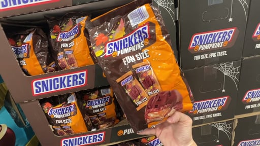 Snickers Pumpkins Fun Size 24.75 oz