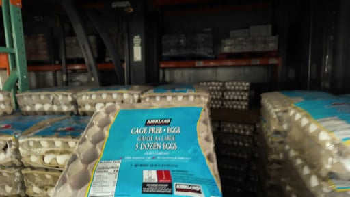 Kirkland Signature Cage Free Large Eggs (5 Dozen)