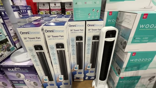 OmniBreeze Tower Fan