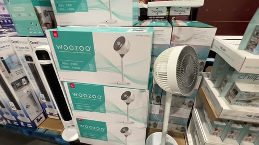 Woozoo 360° Pedestal Air Circulator