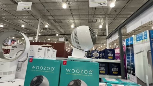 Woozoo 5-Speed Globe Fan